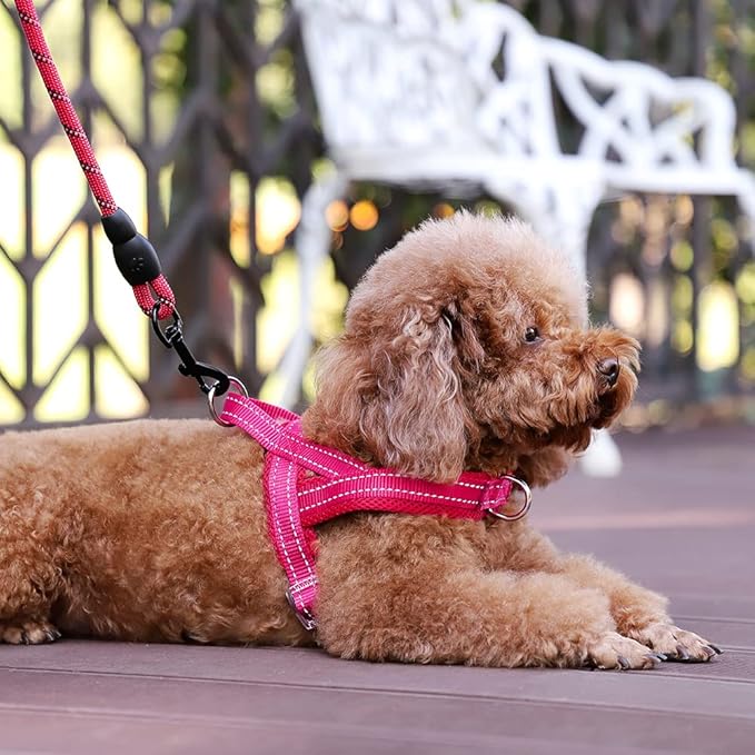 Plutus Pet No Pull Dog Harness with Breathable Mesh Padded, Adjustable Reflective Escape Proof Dog Harness, Quick Fit Dog Vest Harness for Small Medium Large Dogs(XS, Pink)