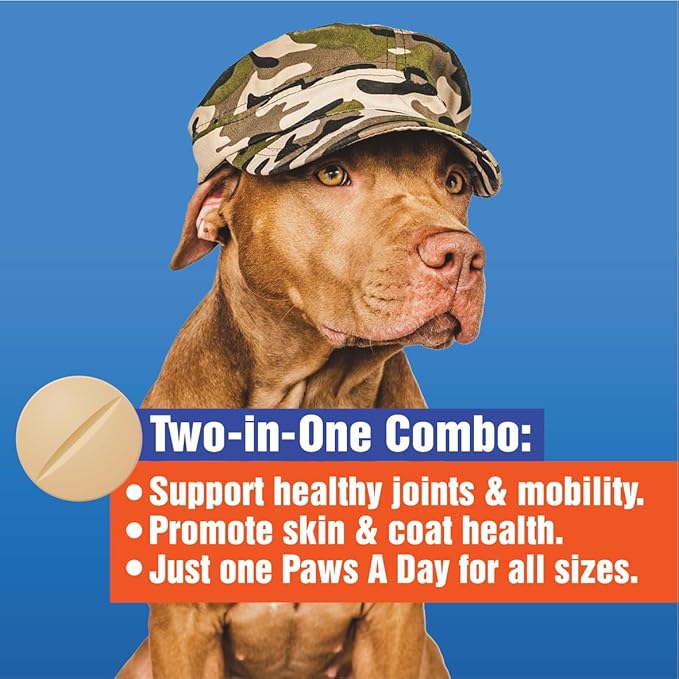 Glucosamine for Dogs Hip & Joint Supplement – “Two-in-One Combo” Dog Joint Care and Improved Skin & Coat with Chondroitin, MSM, Omega 3, Collagen & Biotin, 60 Chewable Tablets