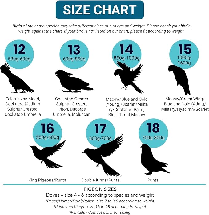 Bev's Bird Boutique Regular Flyper Adjustable Bird Diaper | Reusable, Washable Cloth | Comfort Fit for Parrot, Cockatiels, & Other Small Birds | Fashionable Avian Accessories, Retro Tux, Size 16
