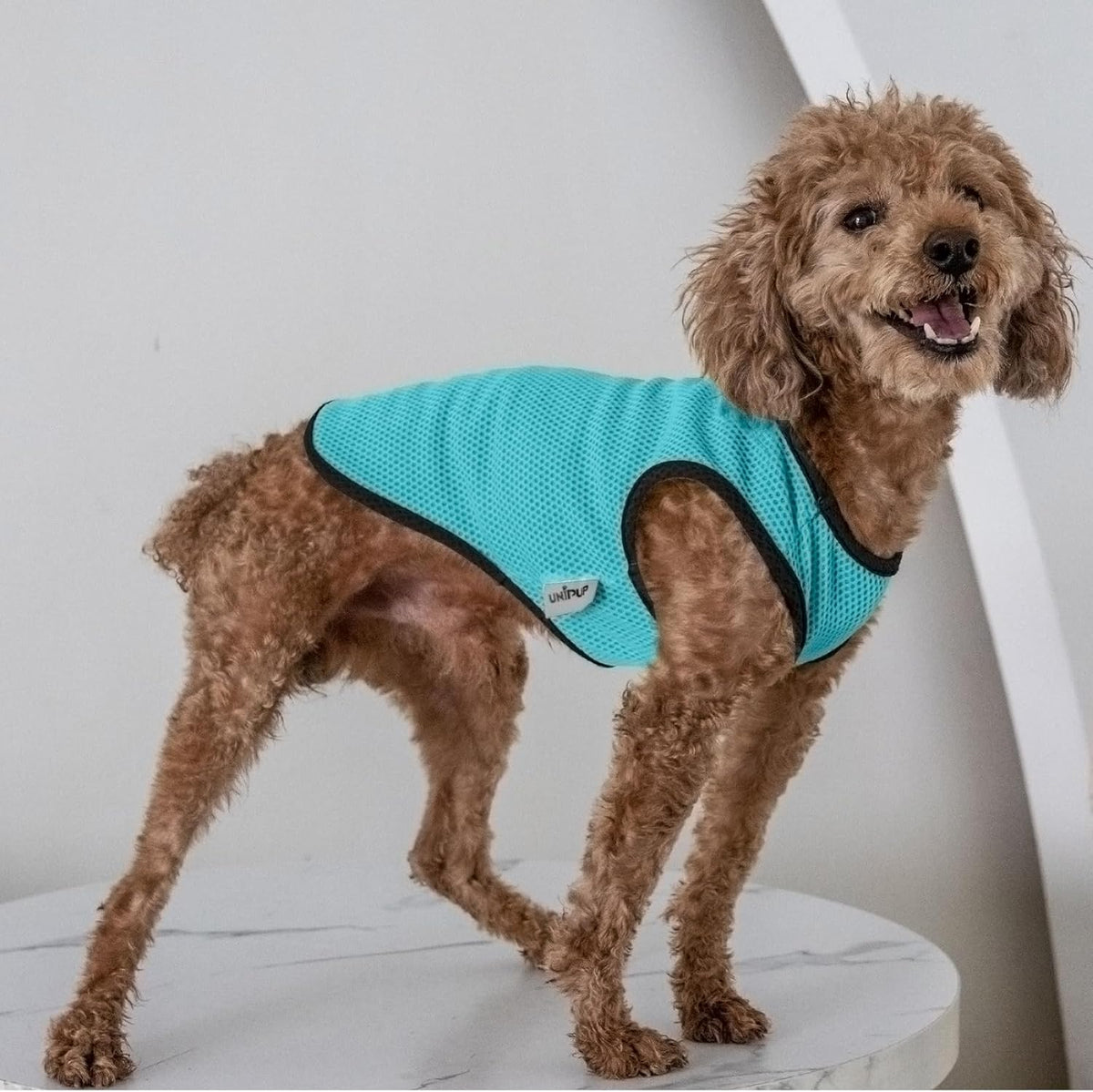 2 Pack Cooling Shirts for Dogs, Lightweight Mesh Breathable Dog Clothes for Medium Dogs Boy Girl,Sun-Protection Sleeveless Shirts for Dog&Cat Puppy Vest Pet Apparel - L