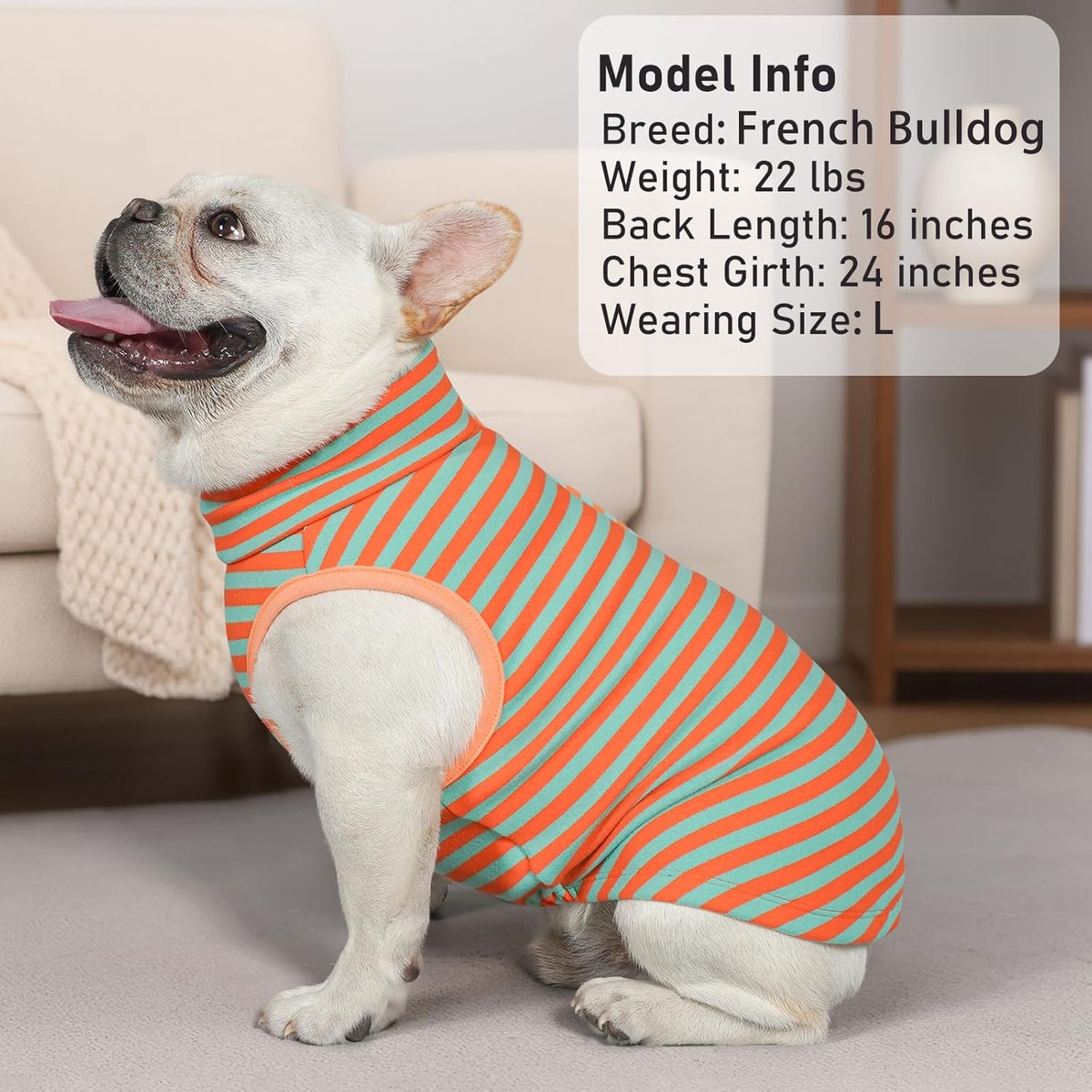 KYEESE 2Pack Dog Sweater Turtleneck Dog Sweaters for Small Dogs Male Stretchy Dogs Clothes Soft Dachshund Clothes Pullover Pet Sweatshirt Warm Pets Coats Small Pet Sweaters
