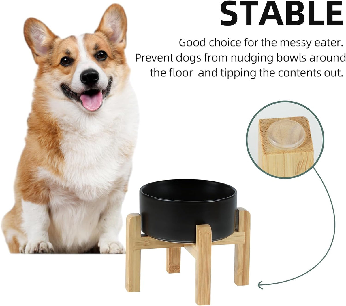 Ceramic Raised Dog and Cat Bowl Set, 2 Heights Elevated Stand, Food and Water Bowl for Small Breed Dogs, Weighted Dog Dishes, Pet Bowl(6.1'',28.7oz, Black)