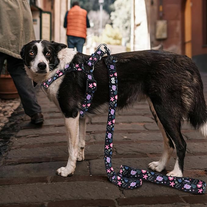 QQPETS Dog Harness Leash Set Adjustable Heavy Duty No Pull Halter Harnesses for Small Medium Large Breed Dogs Back Clip Anti-Twist Perfect for Walking