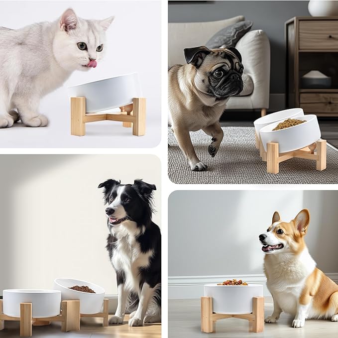 SPUNKYJUNKY 15° Slanted Ceramic Dog and Cat Bowl with Wooden Stand, Tilted Bulldog Food and Water Bowl No Slip Non-Spill for Cats Medium Dogs Big Face Pets 13.5 OZ (1.7 Cups, White × 2)