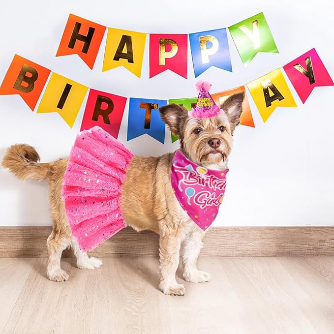 SCENEREAL Dog Birthday Bandana with Hat and Dress Girl Set, Puppy Birthday Party Supplies, Cute Pink Tutu Skirt Outfit for Small Medium Large Dogs