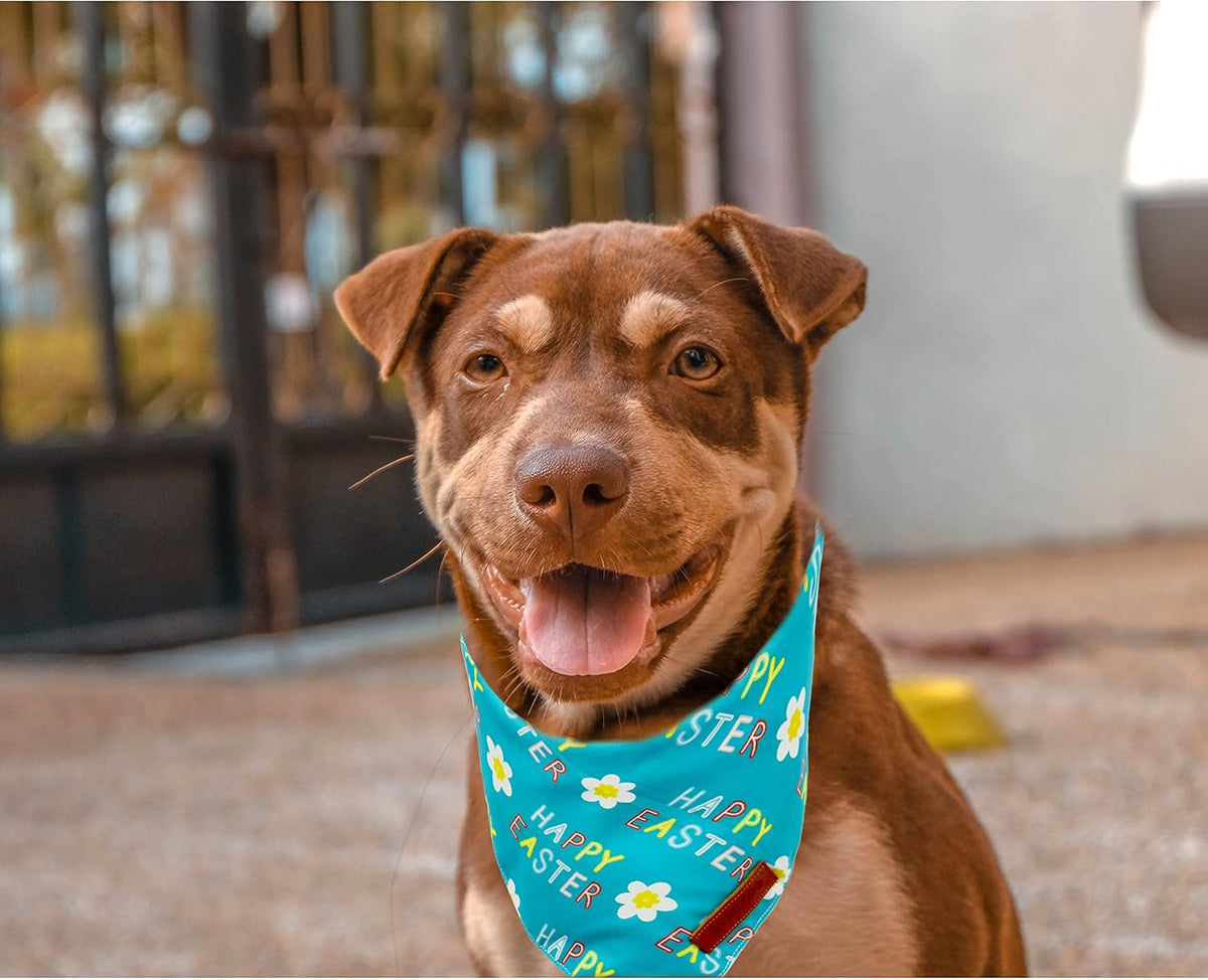 Realeaf Happy Easter Dog Bandanas 2 Pack, Reversible Pet Scarf for Boy and Girl, Premium Durable Fabric, Holiday Bandana for Small Medium Large and Extra Large Dogs (Large)
