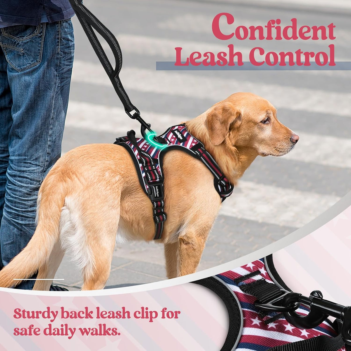 rabbitgoo Dog Harness No Pull with 2 Leash Clips, Adjustable Soft Padded, Reflective Oxford No Choke Pet Vest with Easy Control Handle for Large Dogs, Red Stripe, M