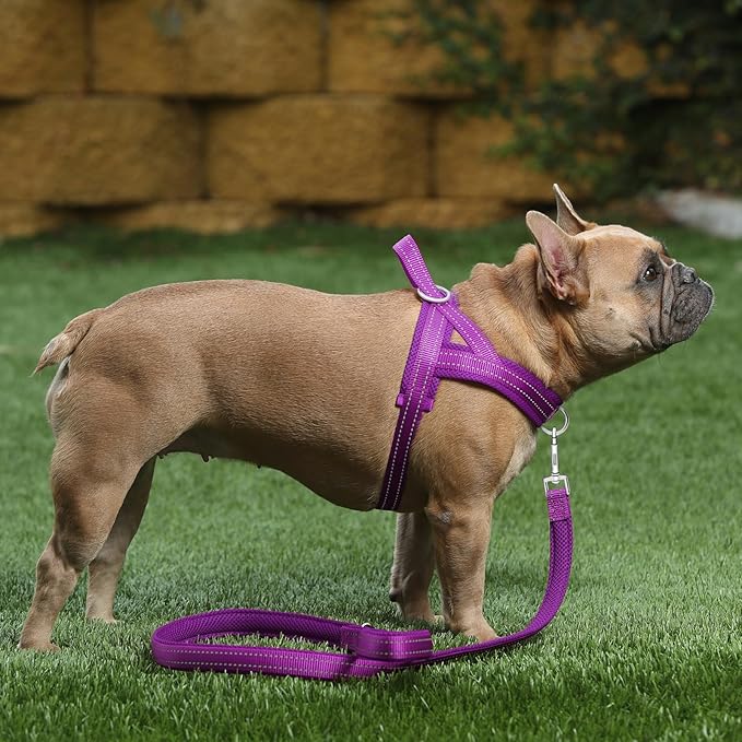 Plutus Pet No Pull Dog Harness with Breathable Mesh Padded, Adjustable Reflective Escape Proof Dog Harness, Quick Fit Dog Vest Harness for Small Medium Large Dogs(S, Purple)