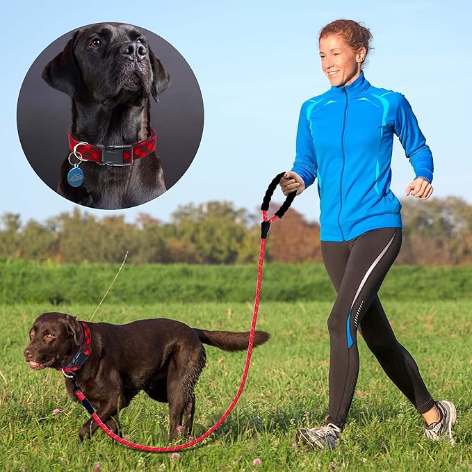 Reflective Dog Collar Padded with Soft Neoprene Breathable Adjustable Nylon Dog Collars for Small Medium Large Dogs (X-Small (Pack of 1), Red Plaid Collar+Leash)