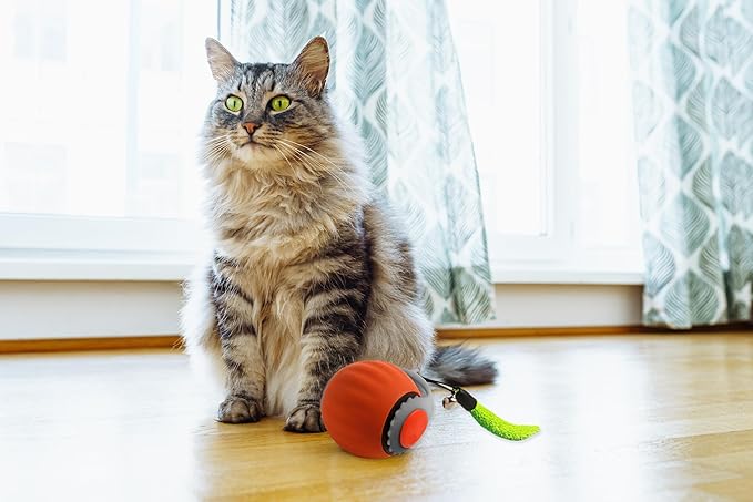 Smart Speedy 3.0 Interactive Cat Ball with Auto Obstacle Avoidance - Indoor Kitten Toy for Mental Stimulation & Playtime Fun ,2025 Edition (Orange)