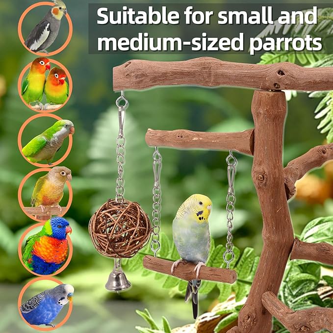 Natural Grape Wood Bird Parakeet Playground - Perch Stand for Parakeets, Cockatiels, and Small Birds Toys