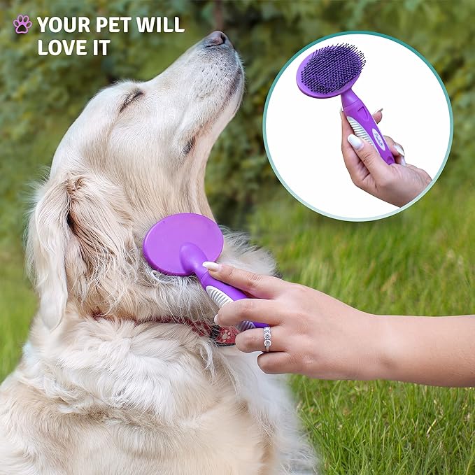 Round Bristle Pet Brush for Dogs and Cats - Soft Dog Brush for Grooming Short or Long Hair - Gentle Tool for Sensitive Skin Removes Dander, Dirt, and Detangles (Purple)