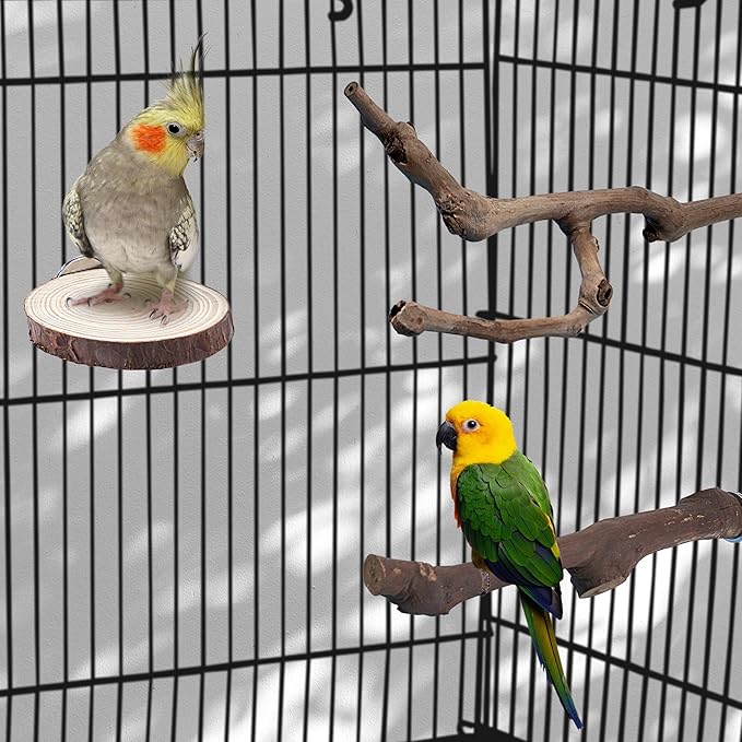 Mogoko 5PCS Bird Perch Natural Wood Grape Stick Stand, 3 Grape Stick Paw Grinding Fork Parakeet Chewing Stick 2 Parrot Stand Branch, Chewing Exercise Branches Bird Cage Accessories