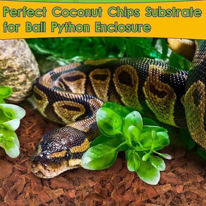 Halatool 2Pack Snake Bedding Natural Coconut Chips Substrate Coco Husk for Reptiles Tank Terrarium Substrate for Ball Python Frog Gecko Hermit Crab Tortoise