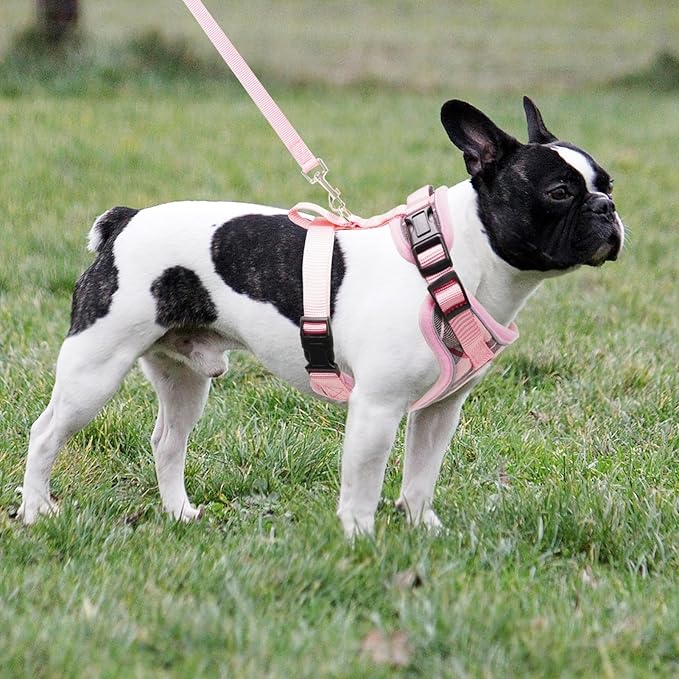 PUPTECK Soft Mesh Dog Harness and Leash Set Pet Puppy Cat Adjustable Reflective Padded Vest No Pull Harnesses, Pink, S