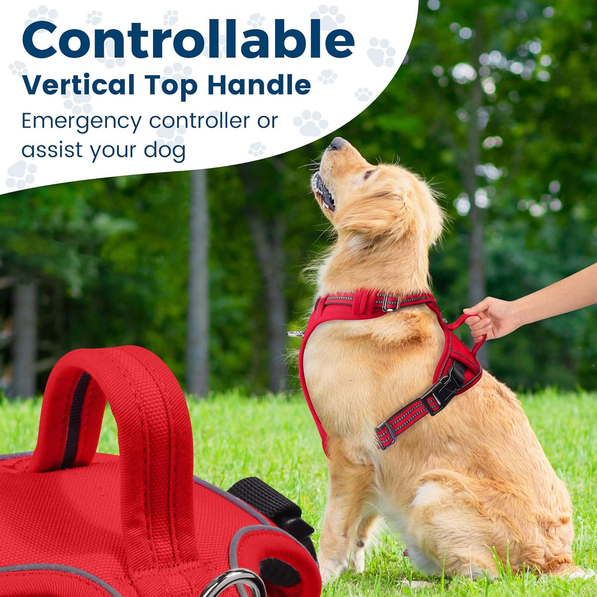 Funfox Dog Harness No Pull, Adjustable Pet Vest Harness, Super Soft Material with Vertical Handle Easy Control, Reflective Night Walking, 2 Leash Clips for Small Sized Dogs, Red, S
