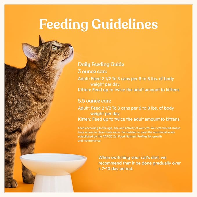 Made by Nacho Flaked Filets Recipe in Bone Broth, Grain-Free Chef's Selects Wet Food for Cats Balanced Diet in Naturally Hydrating Pumpkin-Infused Broth (3.0 oz (Pack of 12), Chicken & Beef)