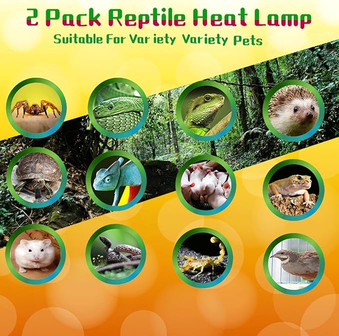 Reptile Heat Lamp Used in Reptiles 75W 100W Heat Lamp Bulbs for Reptiles 2 Pack Amphibians Basking Heat Lamp Bulbs UVA Daylight Basking Light (75Watts)