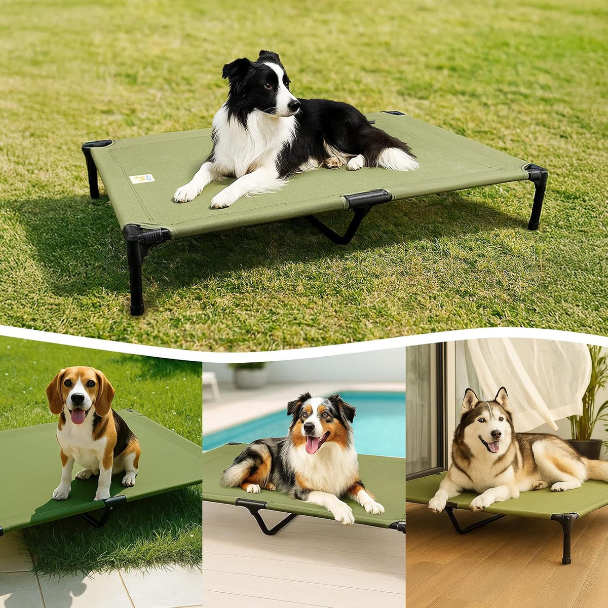 Sytopia Canvas Elevated Dog Bed, Durable Chew Proof Outdoor Raised Pet Cot for Large Dogs, Waterproof, Breathable, Portable, Washable, Easy Assembly, Sturdy Frame for Camping & Travel, Green