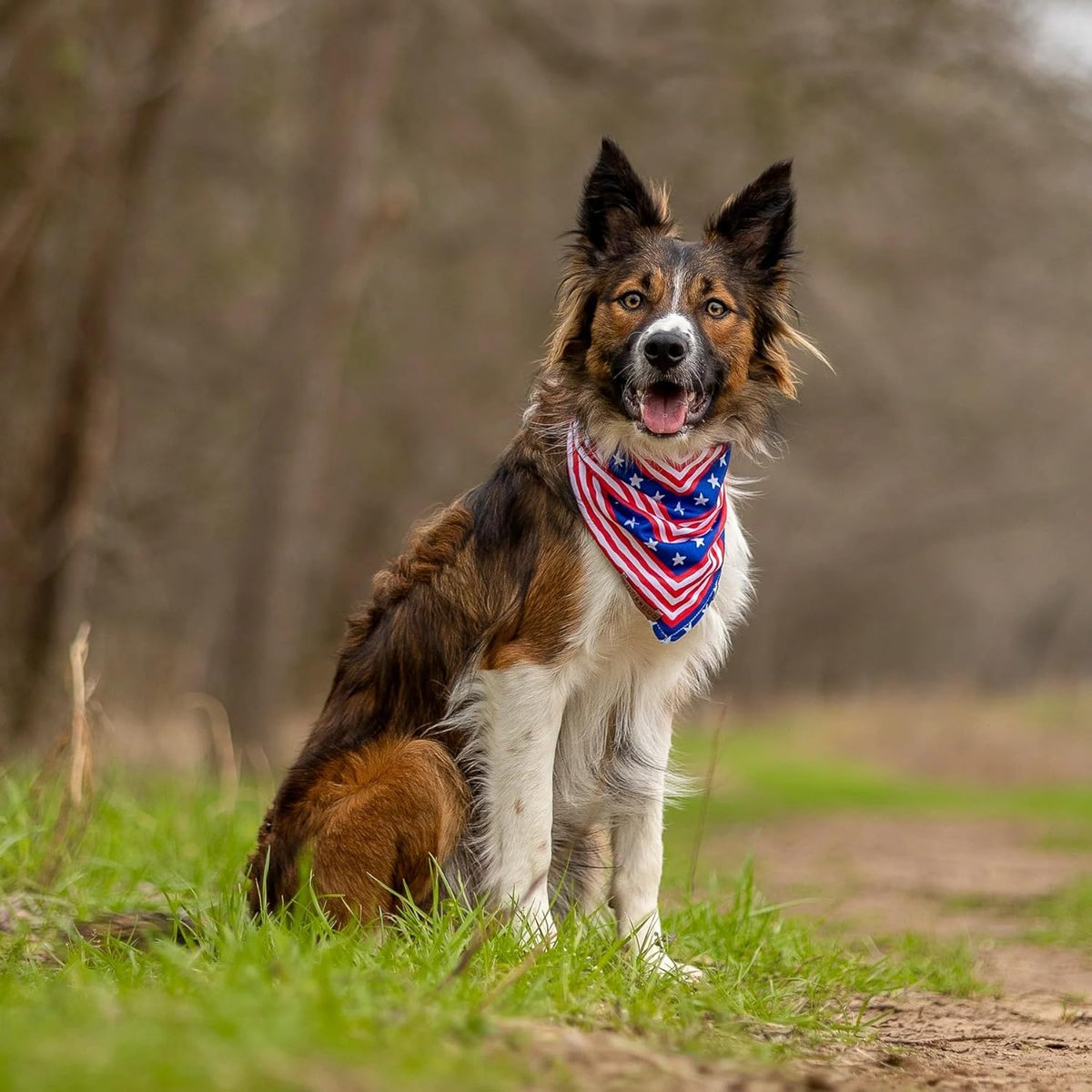 Wilderdog Dog Bandana with Lightweight Quick Drying Poly-Blend Mesh Material in Americana