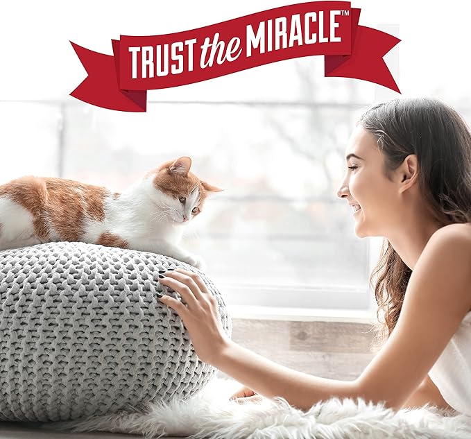 Nature's Miracle Set-In Stain Destroyer For Cat Messes, 24 Ounces, Oxy Formula With Orange Scent (Pack of 2)