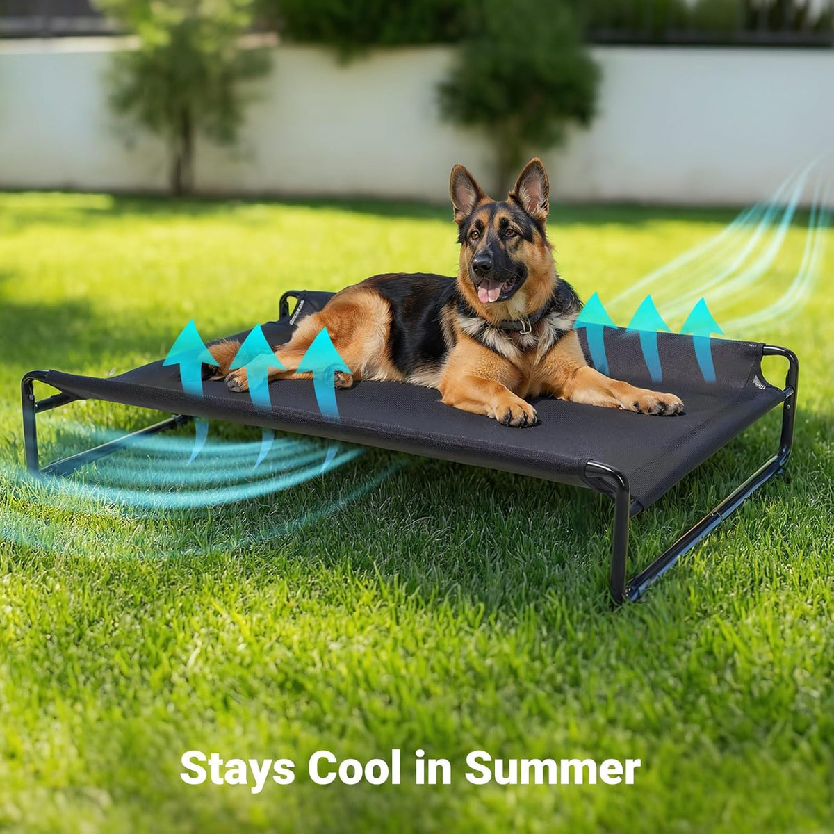 Veehoo Original Outdoor Elevated Dog Bed, Cooling Raised Dog Cot for Large Dogs, Portable Standing Pet Hammock Platform with Washable Breathable Mesh, No-Slip Feet, X-Large, Black, CWC2201