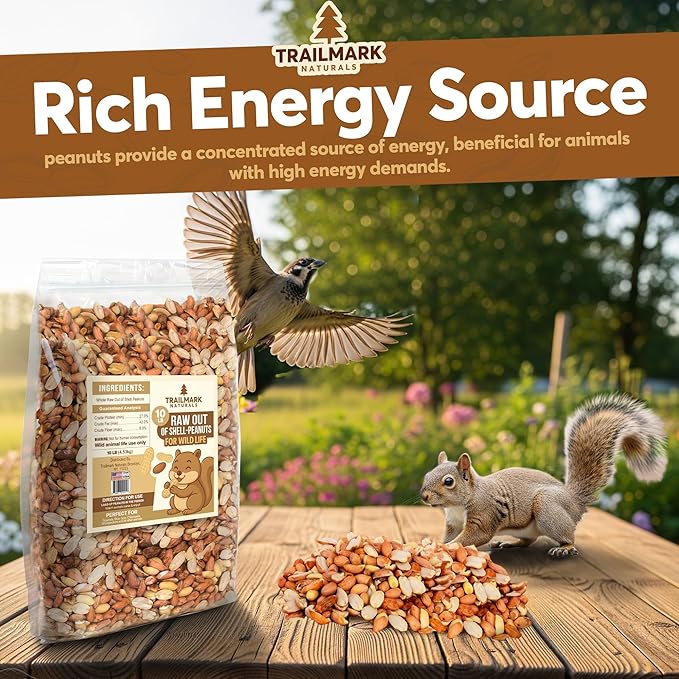 45 LB - Raw Shelled Peanuts For Squirrels, Out of Shell Peanuts For Birds and Wildlife- Squirrel Food, Wild Bird Seed - Grown in The USA