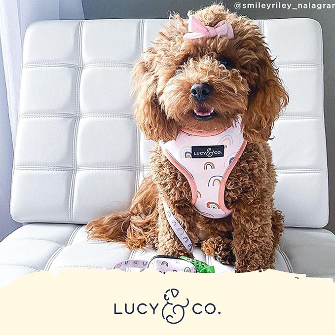 Lucy & Co. in The Clouds, Cute Reversible Dog Harness Walking Halter - Best Designer Pet Harnesses for Medium Dogs - Padded Adjustable Vest for Easy Walking (X-Large)