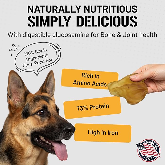 Dog Chits Pig Ears for Dogs – 100% Natural Baked Pig Ear Dog Treats & Training Chews – High Protein, Lower Fat, Grain-Free – Great for Puppies, Dental Support – Medium Size, 15 Pack – Made in USA