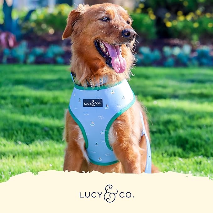 Lucy & Co. Set Sail Reversible Harness, Walking Halter - Best Designer Pet Harnesses for Small Dogs - Padded Adjustable Vest for Easy Walking, Small, Blue & White Stripes & Sailboats