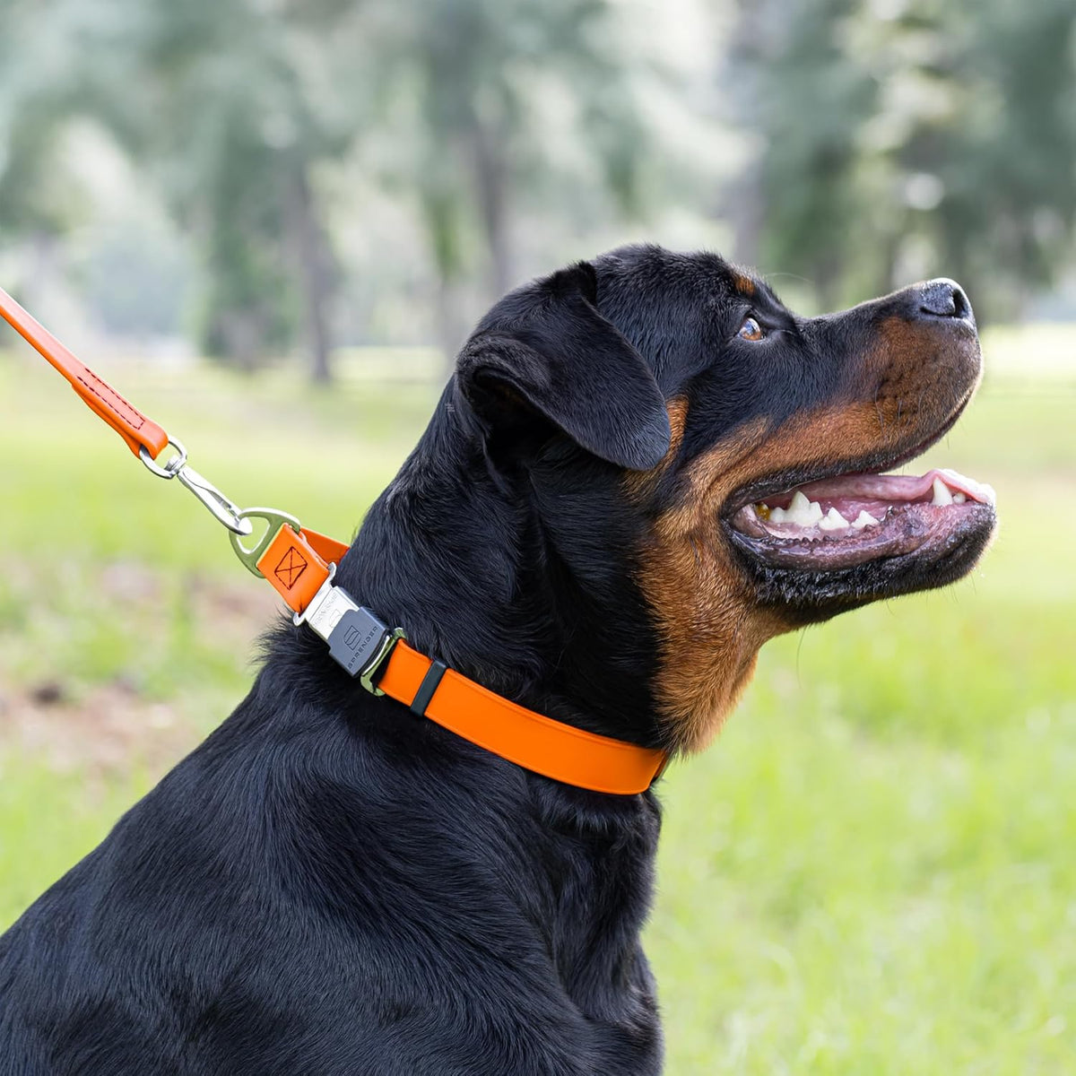 Dogline Biothane Waterproof Dog Collar with Herm Sprenger Stainless Steel Quick Release Buckle – Heavy Duty Tactical Durable Collar for Dogs – Comfortable and Safe Pet Collar, W 3/4" L 12-19", Orange