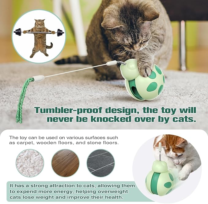 Cat Treat Interactive Toy, Indoor Puzzle Slow Feeding Mental Stimulation Sliding Rolling Cat Toy Ball with Cat Teaser, Cat Treat Dispenser Toy for Large, Medium and Small Cats (Green, ladybug)