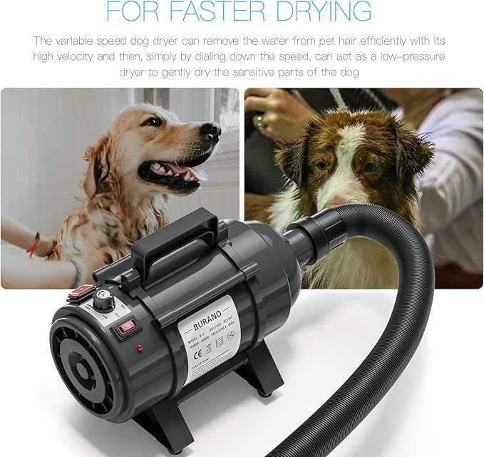 Burano Dog Dryer, High Velocity Pet Hair Dryer, 4.3HP Stepless Adjustable Speed Dog Hair Force Dryer, Powerful Pet Blower with Heater