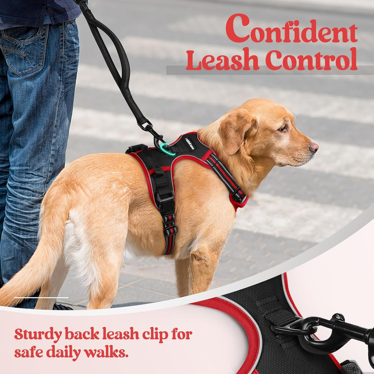 rabbitgoo Dog Harness No Pull with 2 Leash Clips, Adjustable Soft Padded, Reflective Oxford No Choke Pet Vest with Easy Control Handle for Small Dogs, Black & Red, S