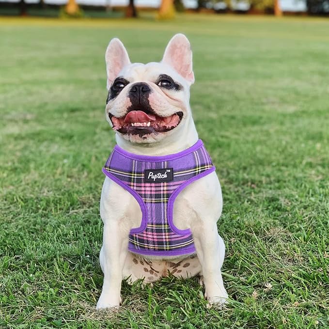 PUPTECK Soft Mesh Dog Harness and Leash Set Pet Puppy Cat Comfort Padded Vest No Pull Harnesses, Purple, XS