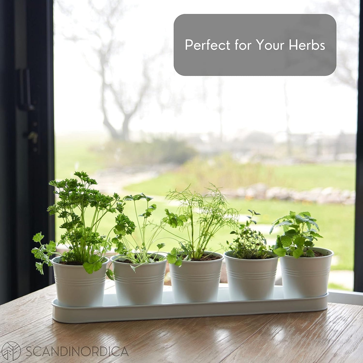 SCANDINORDICA White Herb Planter 5 Pots with Drainage Holes and Tray, Windowsill Planter, Indoor/Outdoor Herb Pots