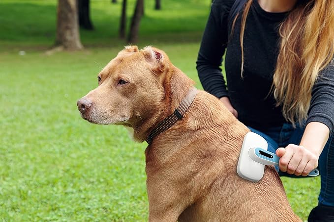 Pets First Premium Dog Brush & CAT Brush Self Cleaning Dog Slicker Hair Brush Easy to Clean Best Pet Grooming Brushes Shedding Grooming Tools for Dogs and Cats. Beautiful Gift for The Groomer!