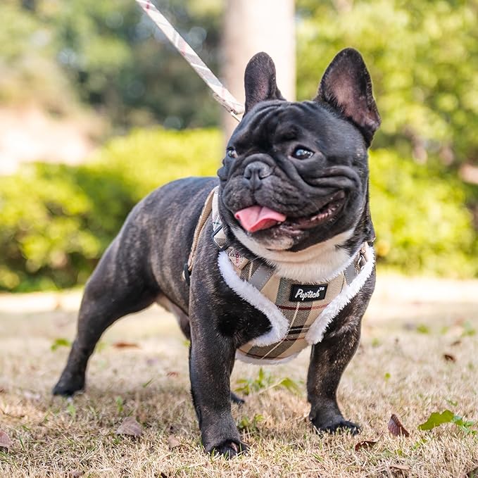 PUPTECK Dog Harness and Leash Set Medium Sized, Step in No Pull Adjustable Puppy Cat Harness Reflective Pet Vest