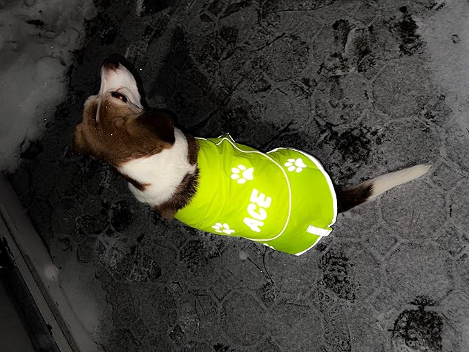 Custom Reflective Dog Vest Personalized High Visibility Reflective Jacket for Your Puppy Hunting Safety Gear with Elastic Strap & Clasp, Comfortable, Perfect for Day and Night Walks!