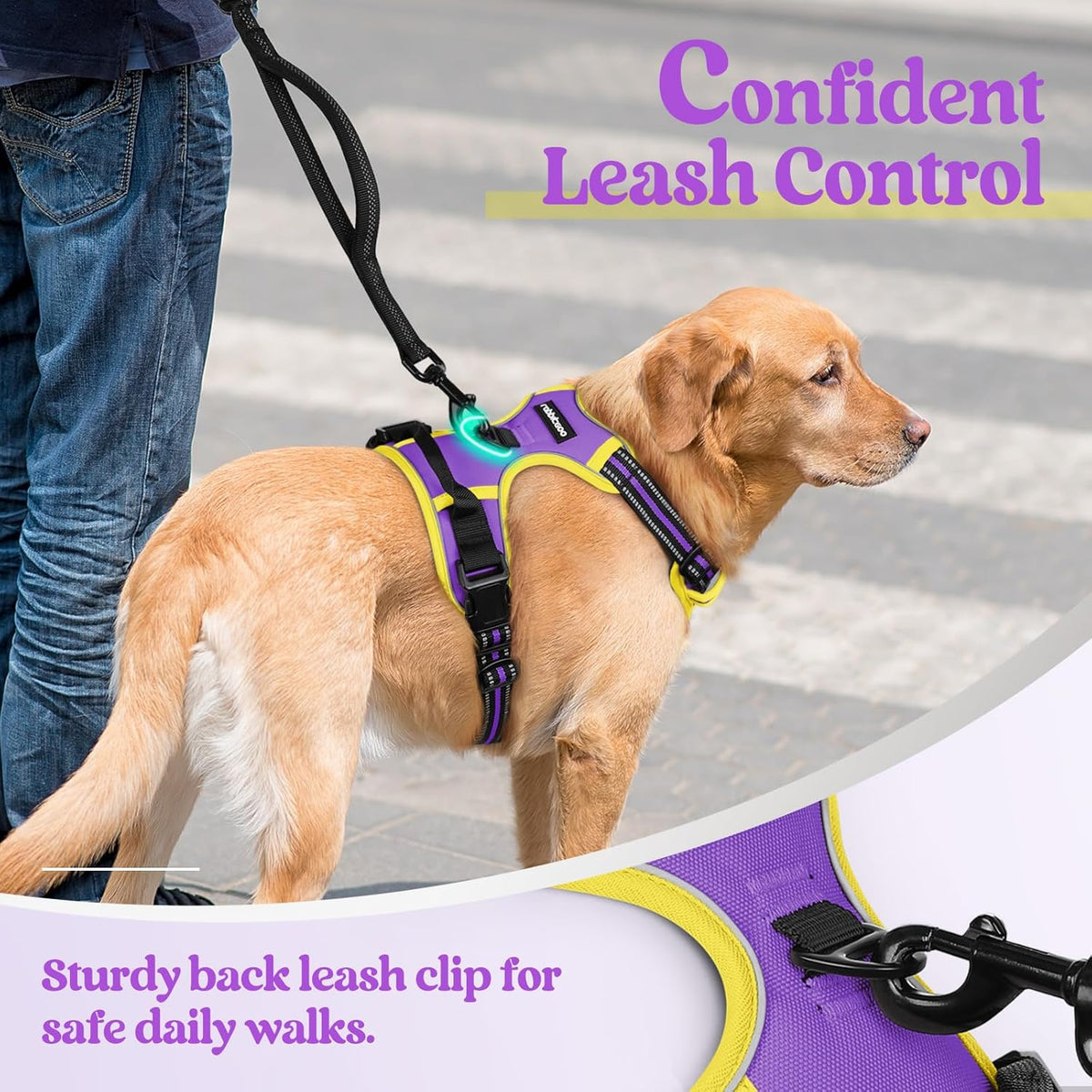 rabbitgoo Dog Harness No Pull with 2 Leash Clips, Adjustable Soft Padded, Reflective Oxford No Choke Pet Vest with Easy Control Handle for Small Dogs, Purple & Yellow, S