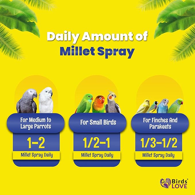 Birds LOVE Economy & Thin Special Spray Millet – 5 lb GMO-Free, No Stems (Only Edible Tops) – Healthy Treat for Cockatiels, Lovebirds, Parakeets, Finches & Canaries