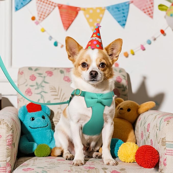 Beirui Adorable Small Dog Harness Collar and Leash Set,Cute XXS Puppy Harness Set with 3 Bows for Tiny Dogs,Chihuahua,Adjustable Step-in Vest for Daily Walking,Parties&Holiday Outfits(Teal,XXS)