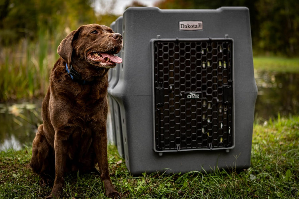 Dakota 283 Crate - Canine Rough and Tough Economy Kennel (Orange, X-Large)