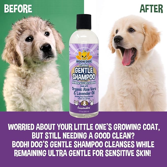 Bodhi Dog Premium Gentle Shampoo - Soothing, Ultra-Gentle Puppy Shampoo with Aloe Vera & Lavender Oil - Natural Moisturizing Pet Wash for Puppies, Dogs & Cats (17 Fl Oz)