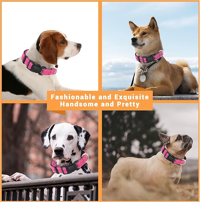 2 Pack Reflective Dog Collar with Safety Locking Buckle, Adjustable Soft Breathable Comfortable Nylon Pet Collar for Small, Medium and Large Dogs, Hotpink, S
