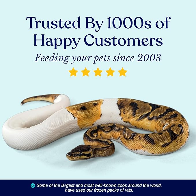 MiceDirect Frozen Pinkie Rat Food for Corn, Rat, King Snakes & Other repitles. (50 Count)
