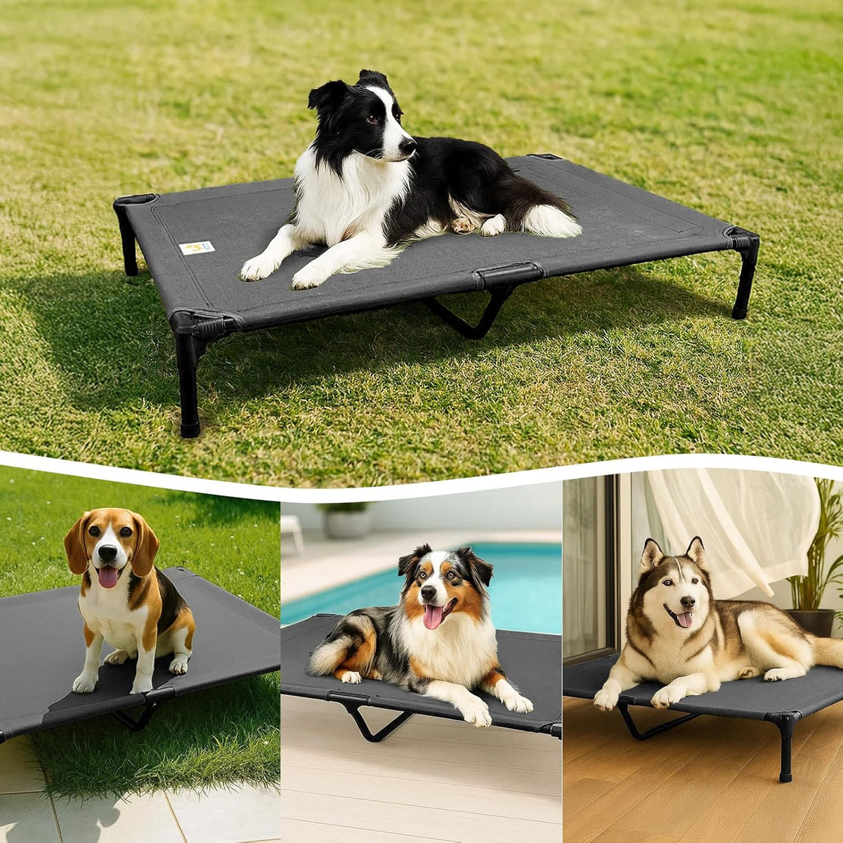 Sytopia Canvas Elevated Dog Bed, Durable Chew Proof Outdoor Raised Pet Cot for Large Dogs, Waterproof, Breathable, Portable, Washable, Easy Assembly, Sturdy Frame for Camping & Travel, Dark Grey