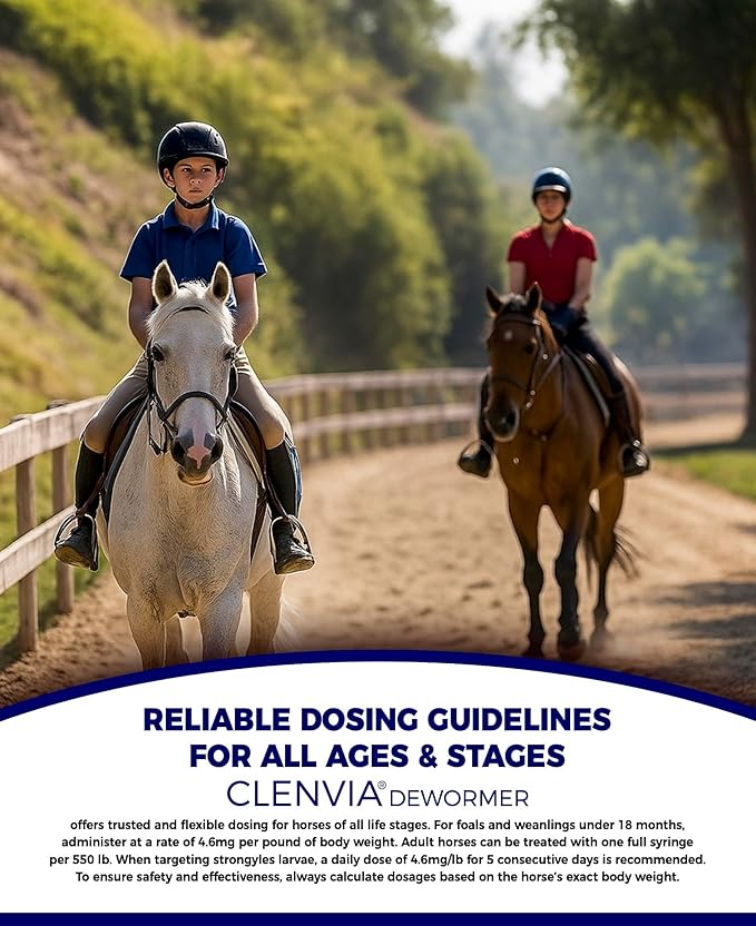 Horse Paste 10% – 4 Pack – 25g Syringes – Oral Deworming Paste for Horses of All Ages – Easy-to-Administer Equine Care