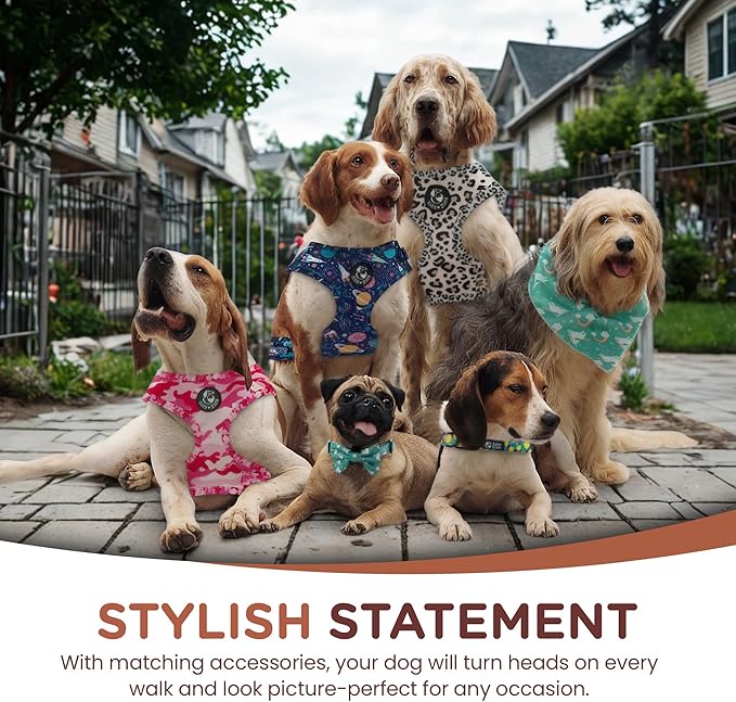 No Pull Harness and Leash Set - 6-in-1 Adjustable Vest Harness and Collars for Medium and Large Dogs. (Tile Unicorn, Small)