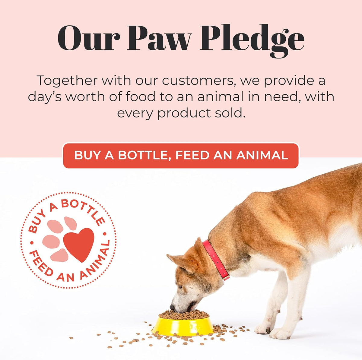 Skout's Honor Probiotic Dog Shampoo & Conditioner with Avocado Oil & Omega-3s, 97% Natural, Paraben & Sulfate-Free, Cruelty-Free, 16oz, Happy Puppy